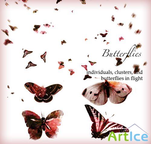 Brushes for Adobe Photoshop - Butterflies
