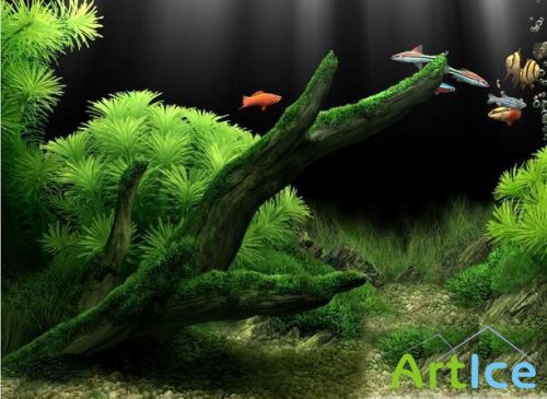 0  Dream Aquarium 3D