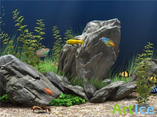 0  Dream Aquarium 3D