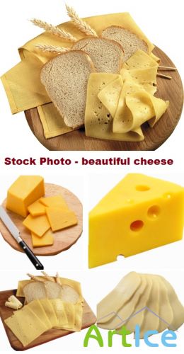 Stock Photo - Beautiful cheese