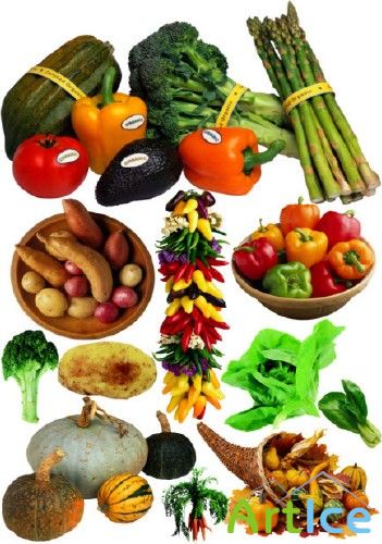 Products with Market - Vegetables