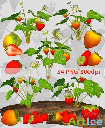 Collection: "Strawberries" PNG