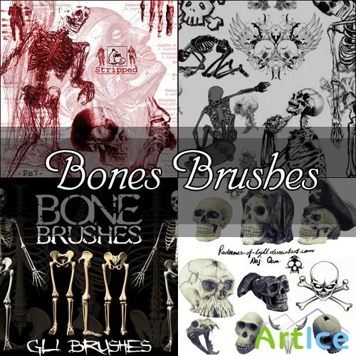 Bones Brushes