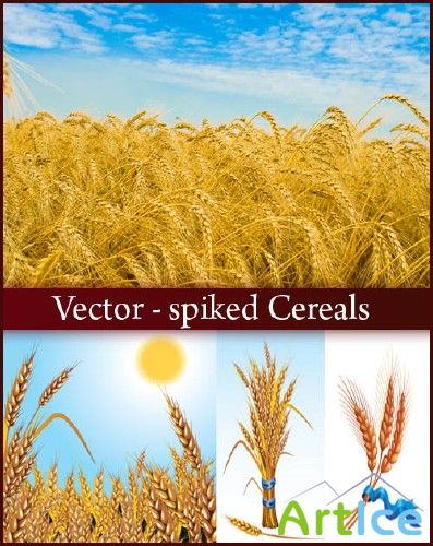 Vector - spiked Cereals