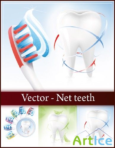 Vector - Net teeth