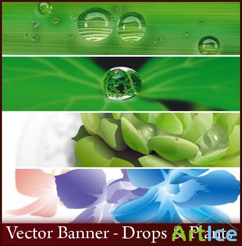 Vector Banner - Drops & Plants