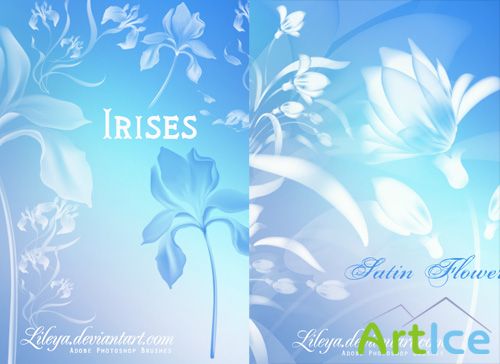 Irises and Satin Flowers