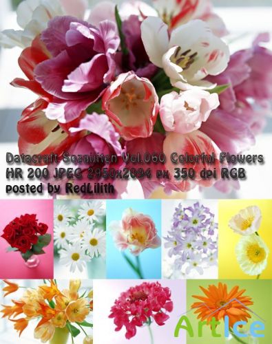  Datacraft Sozaijiten Vol. 060 - Colorful Flowers
