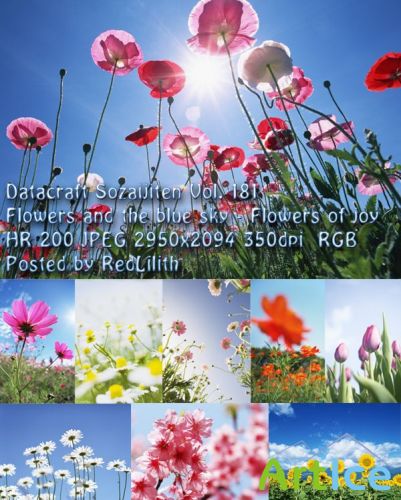  Datacraft Sozaijiten Vol. 181 Flowers and the blue sky - Flowers of joy