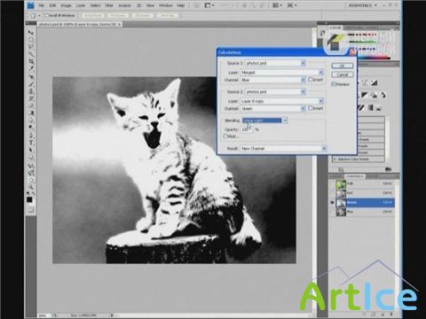  piXel:   Autodesk 3DS Max (2009)