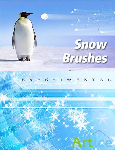 Winter snow & ice brushes