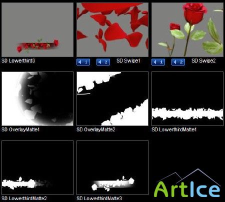 Digital Juice Editor's Themekit 117: Roses are Red SD