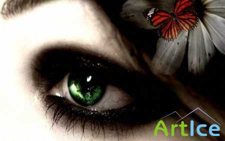 Eyes Wallpapers (�����)