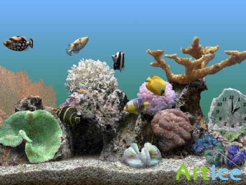 Marine Aquarium 3 3D Screensaver 3.1.5569