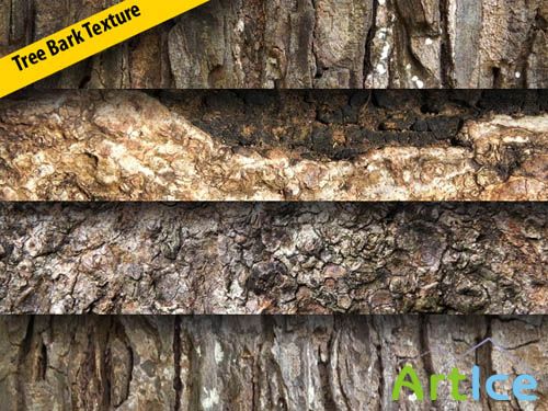 Tree bark texture pack