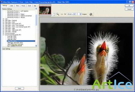 Alien Skin Exposure 3.0.6.1105 Standalone Photoshop Plug-in