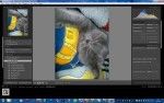 Adobe Photoshop Lightroom 3.3 Final (x32/x64) Portable + Camera Profiles