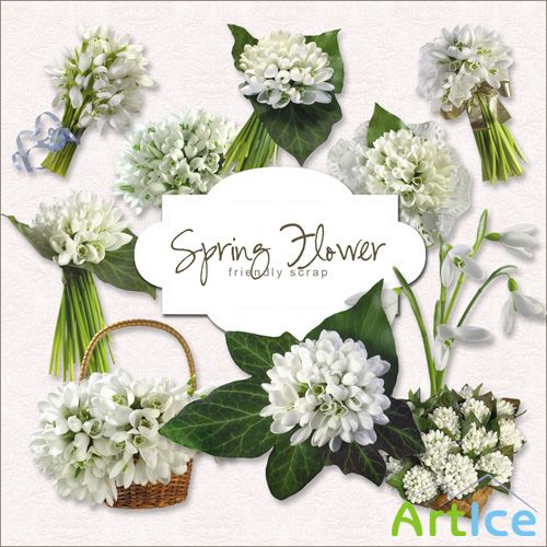 Scrap-kit - Spring Flower