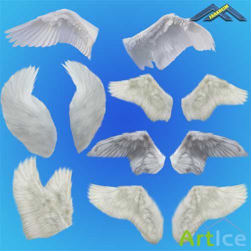 PSD Clipart - Angel Wings