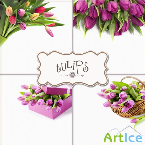 Textures - Tulips