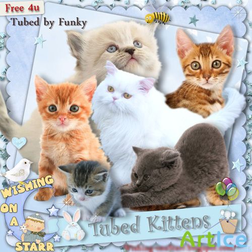 Scrap-kit - Tubed kittens