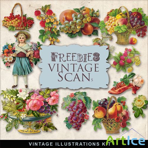 Scrap-kit - Berries Vintage Illustration