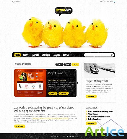 Creative Chick Free Website Template