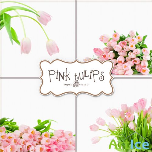 Backgrounds - Pink Tulips