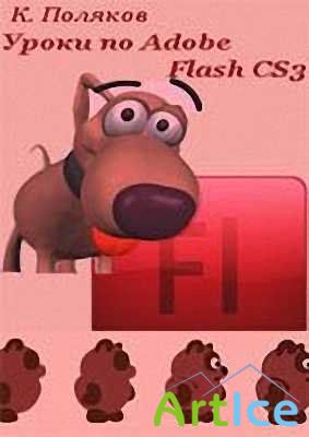   Adobe Flash CS3