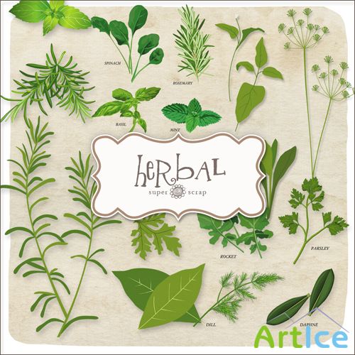 Scrap-kit - Herbal Set