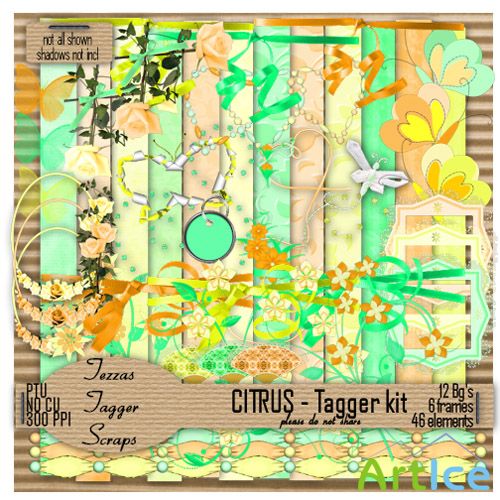 Scrap-set - Citrus - Tagger Kit