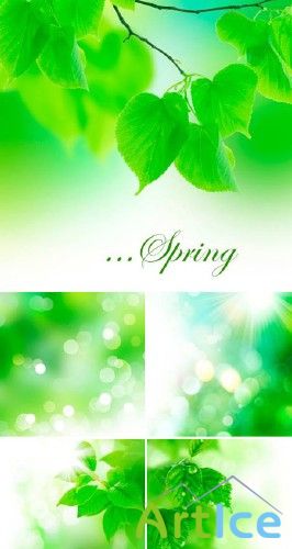    - Stock Photo - Spring Green Backgrounds