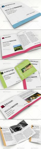 GraphicRiver Mock-up Master - ID series 01