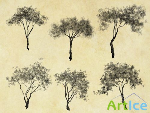 198 Cutout Trees (PSD)