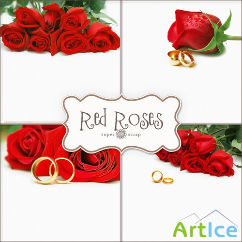 Textures - Red Roses Backgrounds #2