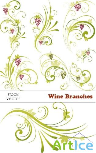 Vectors - Wine Branches  |  