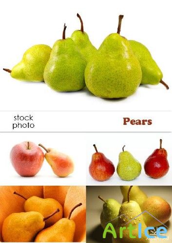 Stock foto - Pears | 