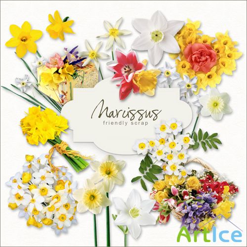 Scrap-kit - Narcissus