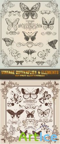 Stock Vector - Vintage Butterflies and Elements |    