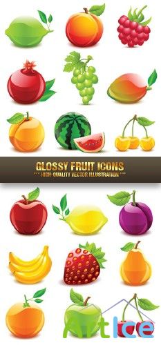 Stock Vector - Glossy Fruit Icons |   