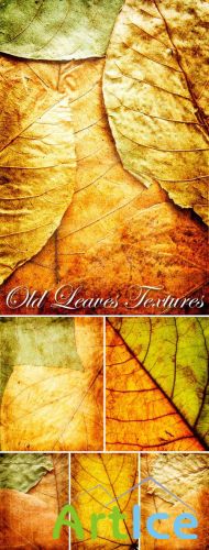 Old Leaves Textures Pack