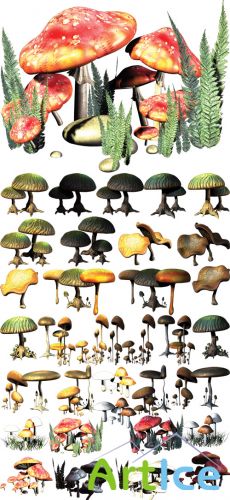 PSD Cliparts - Fantasy Mushrooms