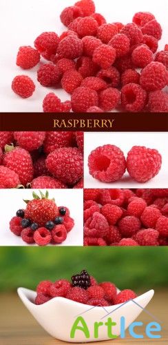 Raspberry - Stock Photo