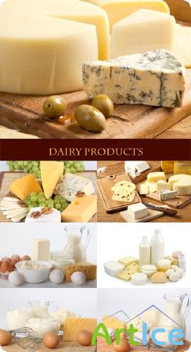 Dairy products - Stock Photo