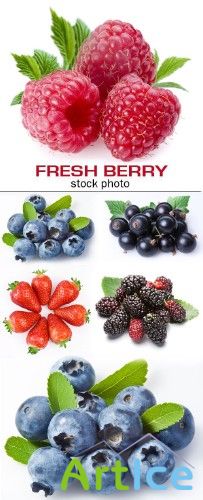 Fresh berry - stock photo