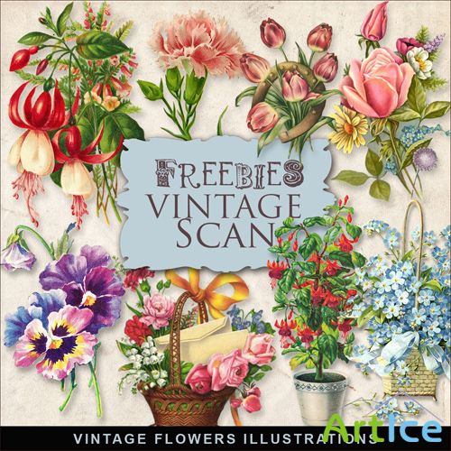 Scrap-kit - Vintage Flowers Illustrations #4