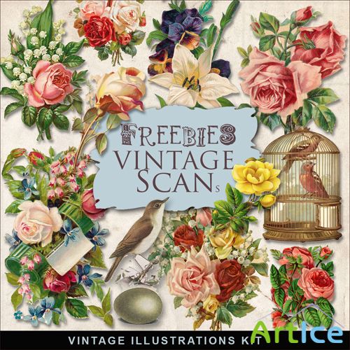 Scrap-kit - Vintage Flowers Illustrations #5