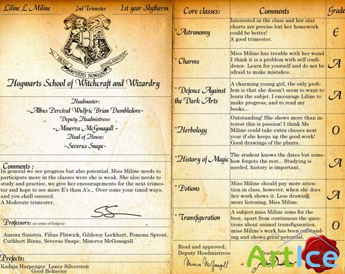 Hogwarts reportcard PSD
