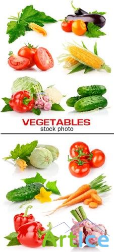 Stock photo - Vegetables 3 |  3,  