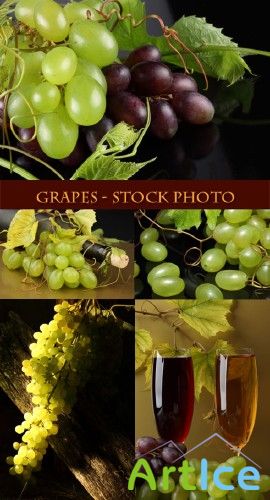 Grapes - Stock Photo 2 |  -  